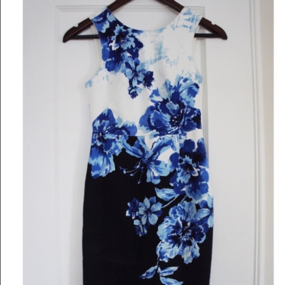 Anthropologie Dress Petite 00